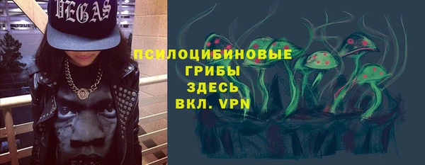 дживик Богородицк