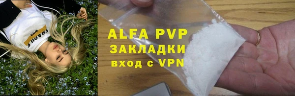 стаф Ростов