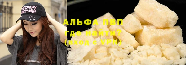 стаф Ростов