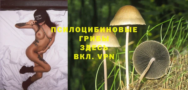мет Россошь