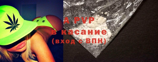 стаф Ростов