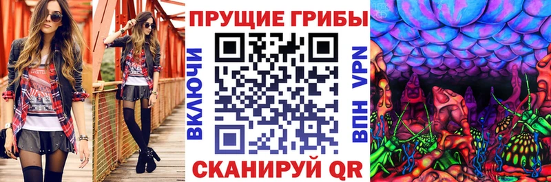 Псилоцибиновые грибы Magic Shrooms  цена   Архангельск 