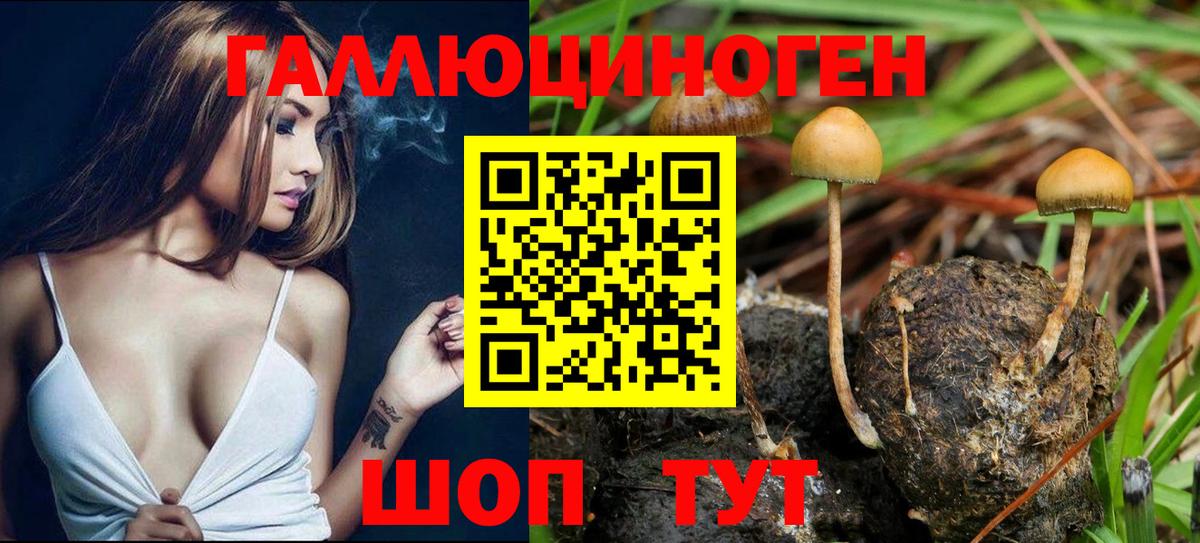 Галлюциногенные грибы ЛСД  Вход с VPN  Галлюциногенные грибы GOLDEN TEACHER  Архангельск 